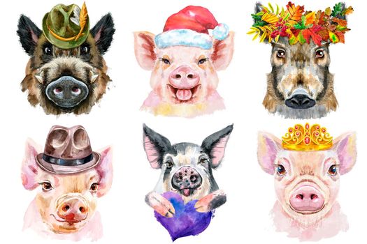 Watercolor illustration of pigs in wreath of autumn leaves, hats, Santa hats, golden crown, with violet heart
