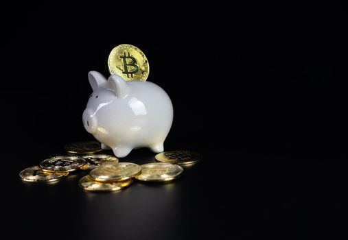 Bitcoin coins are on the back of a white piggy bank. on a black background
