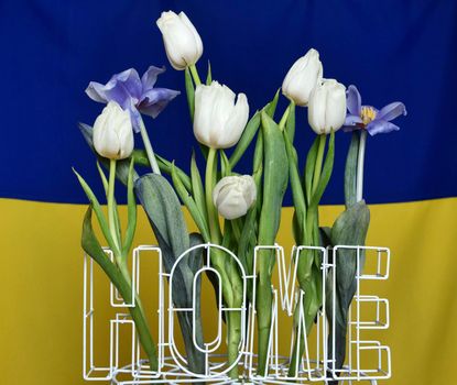 Home is Ukraine. The background is yellow blue National Ukrainian flag at home with flowers tulips. War in Ukraine. Russia attacked Ukraine 24.02.2022