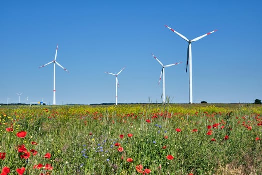 Wind turbines and a flowering meadow seen in Germany