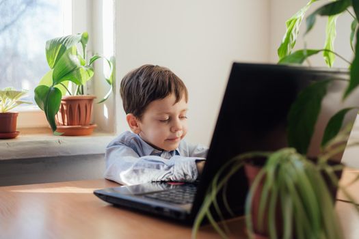 The boy is engaged in online education . Online training. Home schooling. A laptop. Child and technology. An article about the choice of education for a child. Article about home schooling online