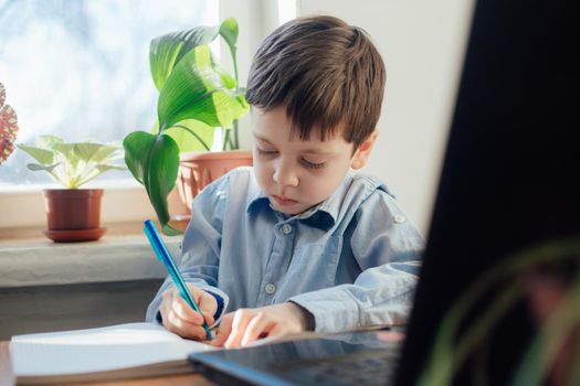 The boy is engaged in online education . Online training. Home schooling. A laptop. Child and technology. An article about the choice of education for a child. Article about home schooling online