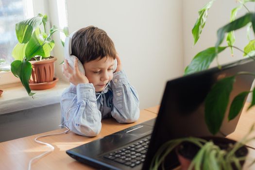 The boy is engaged in online education . Online training. Home schooling. A laptop. Child and technology. An article about the choice of education for a child. Article about home schooling online