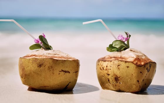 Still life shot of two coconuts placed alongside each other on a beach in Raja Ampat, Indonesia.