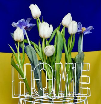 Home is Ukraine. The background is yellow blue National Ukrainian flag at home with flowers tulips. War in Ukraine. Russia attacked Ukraine 24.02.2022
