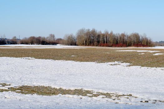Spring field with melting snow before plowing.