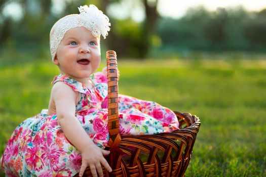 Happy little girl sits in a basket and laughs. A beautiful child. Little baby up to a year old on a summer meadow.