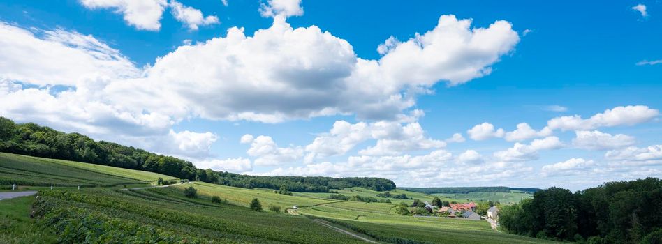 vines, villages and rolling hills in french countryside south of reims under blue sky in summer