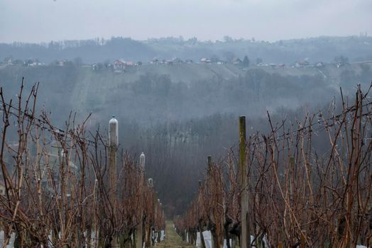 Vincek's hike 2020. Medimurje hills during the hike. Cloudy skies in early January. Manifestation for the Baptism of Wine Vines.