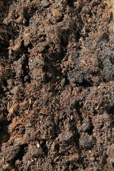 Soil close-up. Black earth in the sun. The rays of the sun illuminate the garden. The black soil is fertile.