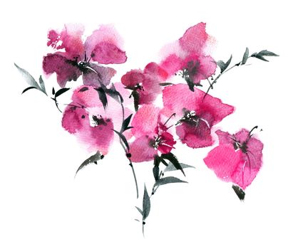 Watercolor illustration of pink flowers bouquet on white background. Oriental traditional sumi-e painting.
