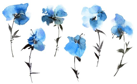 Watercolor illustration of blue flowers - set on white background. Oriental traditional sumi-e painting.