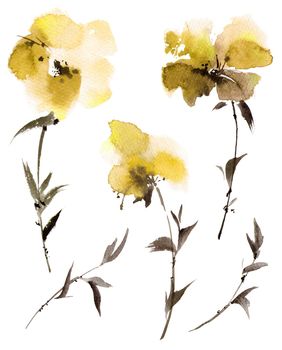 Watercolor illustration of yellow flowers - set on white background. Oriental traditional sumi-e painting.