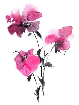 Watercolor illustration of pink flowers bouquet on white background. Oriental traditional sumi-e painting.