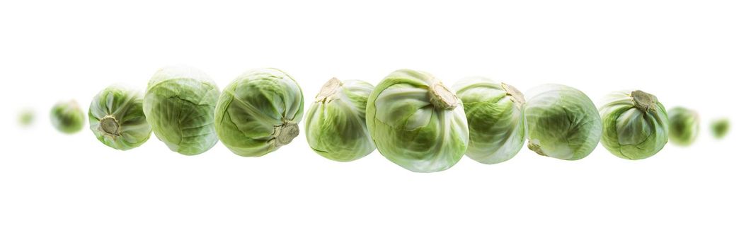 Green cabbage levitates on a white background.