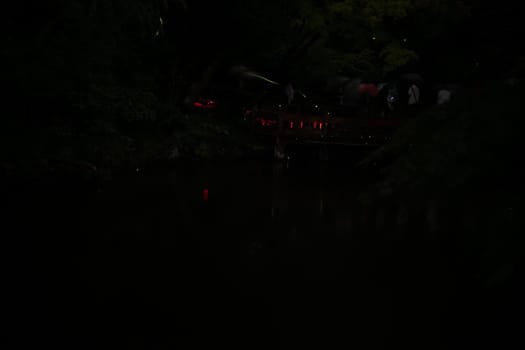 Tsuruoka Hachimangu Shrine Firefly. Shooting Location: Kamakura City, Kanagawa Prefecture