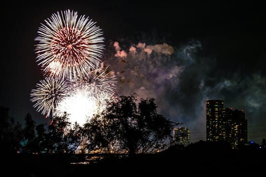 Setagaya Ward Tamagawa Fireworks Festival (2019). Shooting Location: Kawasaki City, Kanagawa Prefecture