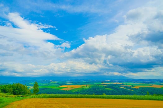 Summer landscape from the hill. Shooting Location: Hokkaido Furano