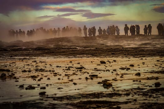 Gay seal sponsored and morning ray (Iceland). Shooting Location: Iceland, Lay Cavik