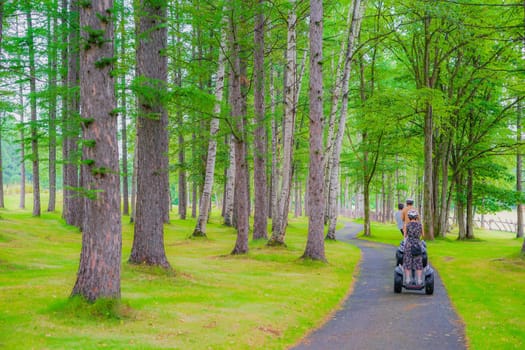 Image of Hokkaido Furano Forest. Shooting Location: Hokkaido Furano