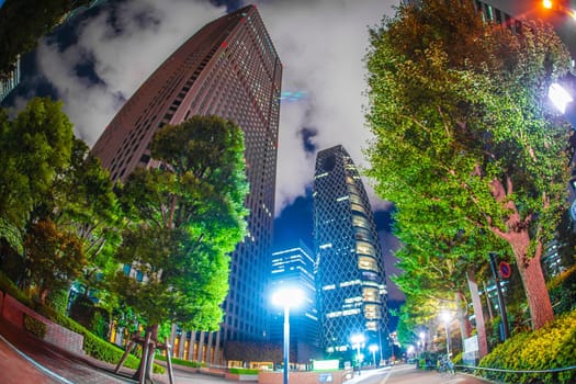 Night view of the high-rise building group of Tokyo Shinjuku. Shooting Location: Tokyo metropolitan area