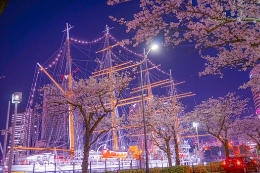 Minato Mirai Cherry blossoms and sailing ship Japan circle. Shooting Location: Yokohama-city kanagawa prefecture