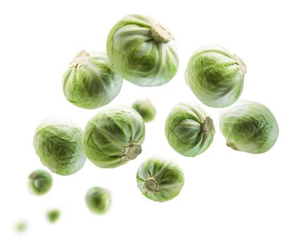 Green cabbage levitates on a white background.
