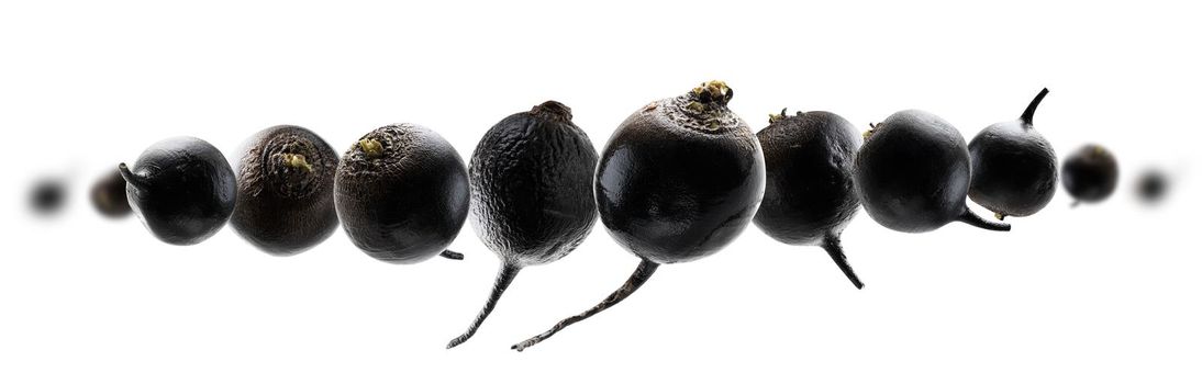 Black turnips levitate on a white background.