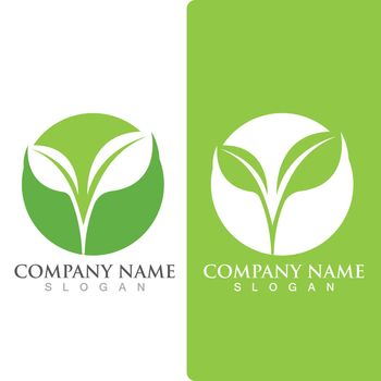  leaf ecology Logos of green Tree nature element vector