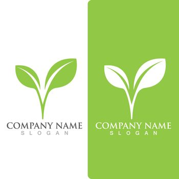  leaf ecology Logos of green Tree nature element vector