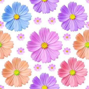 Cosmos flowers seamless pattern. full colored cosmos. Cosmos flower is an ornamental plant.