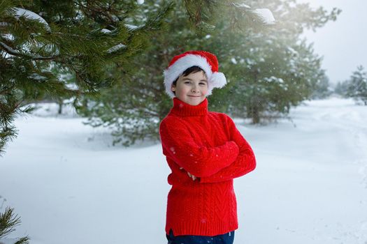 Cute teenager in a red sweater and a red santa claus hat stands in the winter in the park, near pine trees in the snow. Copy space