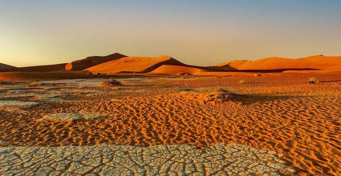 Arid dead sunrise landscape, near famous Dead Vlei in Namib desert, dune with morning sun, Namibia, Africa wilderness landscape