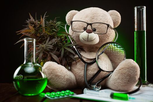 the cannabis plant for medical purposes and research , creative composition with a teddy bear