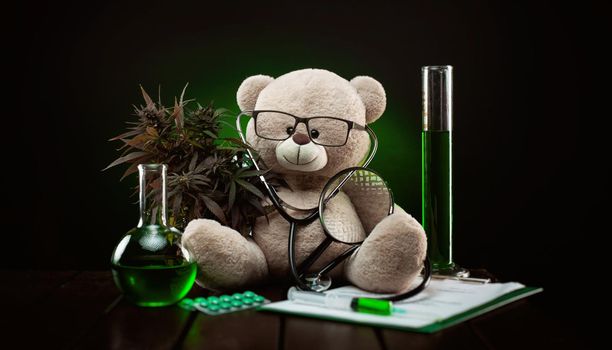 the cannabis plant for medical purposes and research , creative composition with a teddy bear