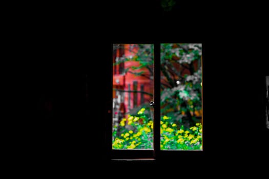 From the window of the house in the forest. Shooting Location: Hokkaido Biei-cho