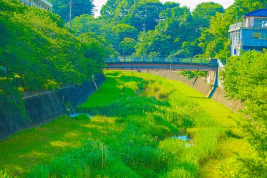 Breath River Green Road Park (Tachikawa City). Shooting Location: Tachikawa City, Tokyo