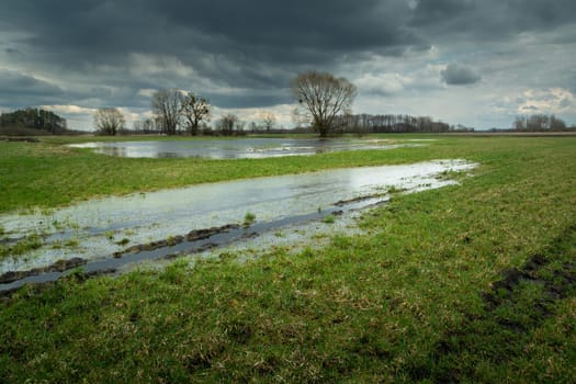 Water on the meadow and the cloudy sky, spring day