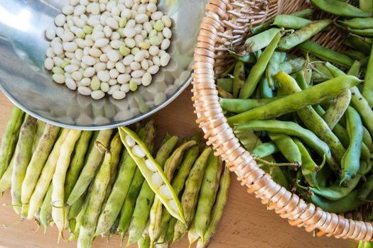 Heap of fresh white coco beans in the pod and peeled in the kitchen, phaseolus vulgaris