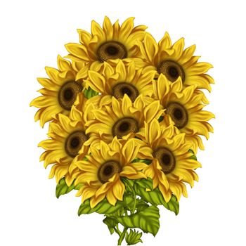 A bouquet of sunflowers on a white isolated background. digital illustration. For graphic works and design