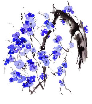 Watercolor and ink sketch - illustration of blossom tree branch with blue flowers, oriental traditional sumi-e painting