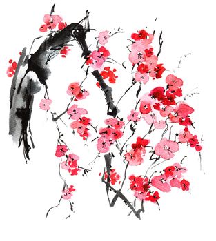 Watercolor and ink sketch - illustration of blossom sakura tree branch with flowers, oriental traditional sumi-e painting