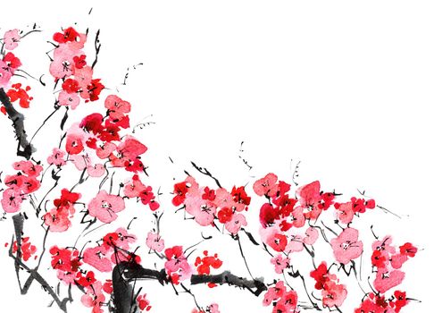 Watercolor and ink sketch - illustration of blossom sakura tree branch with flowers, oriental traditional sumi-e painting