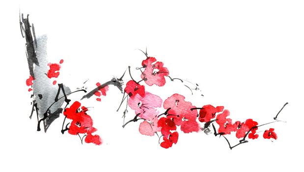 Watercolor and ink sketch - illustration of blossom sakura tree branch with flowers, oriental traditional sumi-e painting