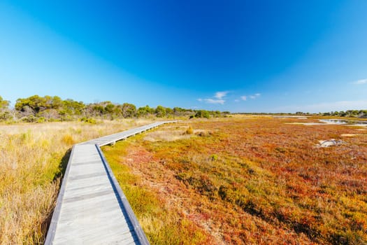 Edwards Point Wildlife Reserve walking trail at Swan Bay near St Leonards in Victoria, Australia