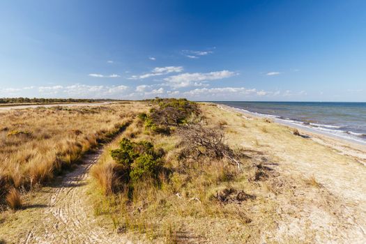 Edwards Point Wildlife Reserve and Two Bays Lookout at Swan Bay near St Leonards in Victoria, Australia