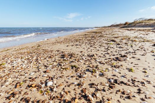 Edwards Point Wildlife Reserve and Two Bays Lookout at Swan Bay near St Leonards in Victoria, Australia