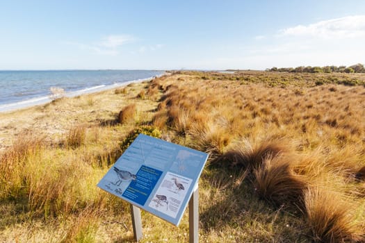 Edwards Point Wildlife Reserve and Two Bays Lookout at Swan Bay near St Leonards in Victoria, Australia