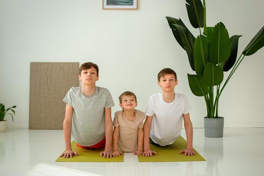 a boy and two teenagers perform yoga exercises while lying on mats in a cobra pose in a sunny studio. copy space