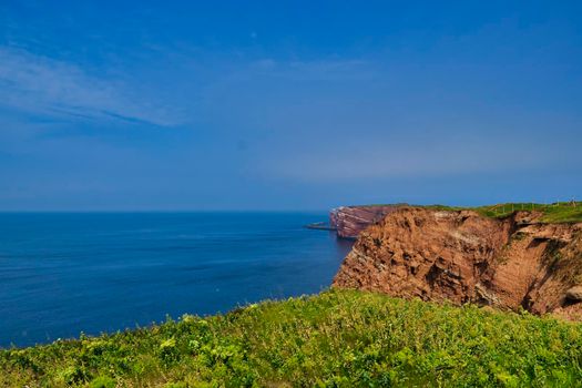 The Coastline of Heligoland - blue sky and blue north sea - green flower in front